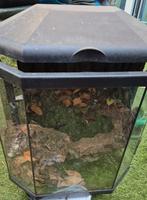 Exo Terra hoekterrarium, Dieren en Toebehoren, Reptielen en Amfibieën | Toebehoren, Ophalen, Gebruikt, Terrarium of Paludarium
