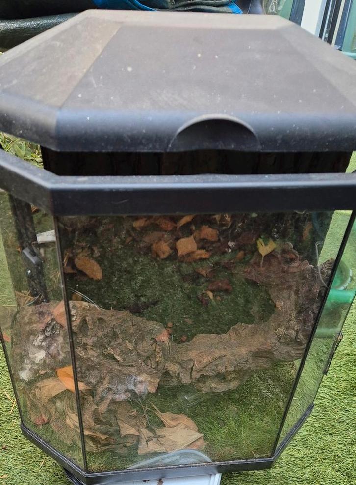 Exo Terra hoekterrarium, Dieren en Toebehoren, Reptielen en Amfibieën | Toebehoren, Gebruikt, Terrarium of Paludarium, Ophalen