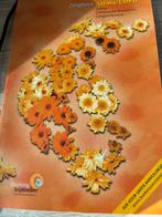 Astma Copd, Ophalen of Verzenden, Zo goed als nieuw