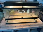 Exo terra 90x45x45, Dieren en Toebehoren, Reptielen en Amfibieën | Toebehoren, Ophalen, Zo goed als nieuw, Terrarium of Paludarium