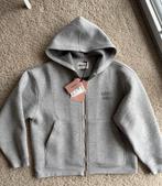 Miu Miu Grijze Hoodie, Kleding | Dames, Truien en Vesten, Miu Miu, Ophalen of Verzenden, Nieuw, Grijs