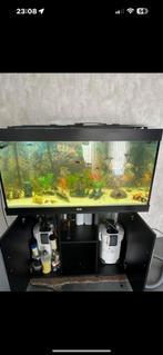 Juwel rio 350, Dieren en Toebehoren, Vissen | Aquaria en Toebehoren, Ophalen, Gebruikt, Gevuld zoetwateraquarium