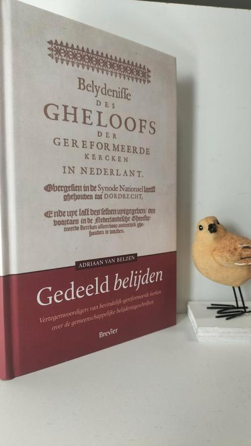 Belzen, Adriaan van; Gedeeld belijden, Boeken, Godsdienst en Theologie, Gelezen, Christendom | Protestants, Ophalen of Verzenden