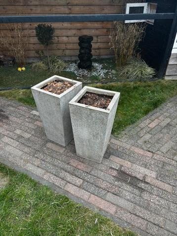 Diverse planten/bloem bakken beschikbaar voor biedingen