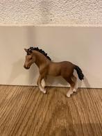 Schleich horse club andalusier veulen 13822, Verzamelen, Speelgoed, Ophalen, Gebruikt
