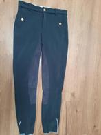 Rijbroek Kentucky Virginia grijs 36, Dieren en Toebehoren, Paardrijkleding, Dressuur, Nieuw, Kentucky, Pont West 106 9600 Ronse