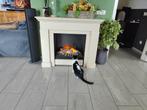 Mooie mist sfeerhaard met ombouw, Huis en Inrichting, Haarden, Ophalen, Zo goed als nieuw, Vrijstaande haard, Elektrische haard