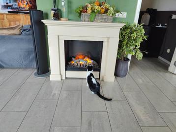 Mooie mist sfeerhaard met ombouw beschikbaar voor biedingen