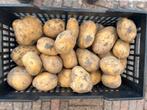 Kist grote maat aardappelen, Diversen, Levensmiddelen, Ophalen of Verzenden