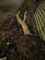 Gratis ophalen een grote stam van een magnoliaboom, Ophalen of Verzenden, Palen