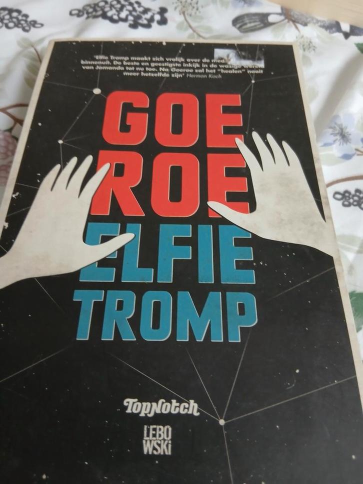Goeroe - Elfie Tromp, Boeken, Romans, Gelezen, Nederland, Ophalen of Verzenden