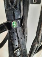 Stang en trens hoofdstel, Ophalen, Zo goed als nieuw, Dressuur