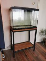 aquarium 100L met meubel, Ophalen, Zo goed als nieuw, Leeg aquarium