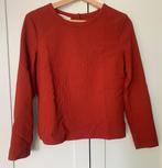 Vanilia trui maat S bordeauxrood, Kleding | Dames, Vanilia, Ophalen of Verzenden, Zo goed als nieuw, Maat 36 (S)