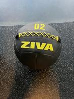 Ziva Wall Balls Set - 2x (2, 4, 6, 8, 9, 10 kg), Sport en Fitness, Ophalen, Gebruikt, Armen, Medicijnbal