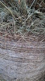 Hooi weidehooi hooibalen, Dieren en Toebehoren, Ophalen, Vee