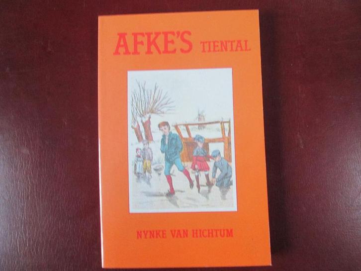 Afke's Tiental, door Nynke van Hichtum, Boeken, Kinderboeken | Jeugd | 10 tot 12 jaar, Zo goed als nieuw, Fictie, Ophalen of Verzenden