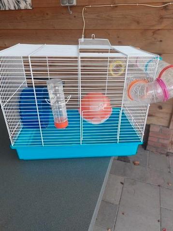Hamsterkooi  beschikbaar voor biedingen