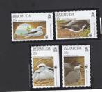 Bermuda vogels wwf wnf 2001 bedreigde diersoorten, Postzegels en Munten, Postzegels | Thematische zegels, Ophalen of Verzenden