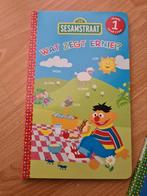 Sesamstraat. Wat zegt ernie?, Ophalen of Verzenden, Zo goed als nieuw