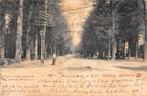 Apeldoorn Loolaan 1901, Verzamelen, Ansichtkaarten | Nederland, Verzenden, Voor 1920, Ongelopen, Gelderland
