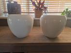 Witte Bloempotten Set beide voor 15 euro, Tuin en Terras, Ophalen, Rond, Tuin, Zo goed als nieuw
