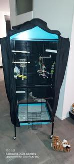 vogelkooi, Ophalen, Gebruikt