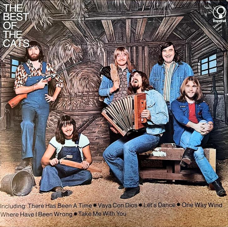 Vinyl / LP van The Cats - The best of the Cats, Cd's en Dvd's, Vinyl | Pop, Gebruikt, 1960 tot 1980, 12 inch, Ophalen of Verzenden