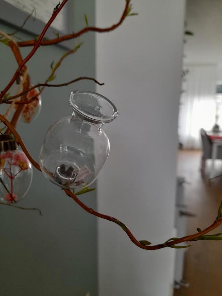 Nieuw in de doos 6x klem vaasjes glas cadeautip feestdagen, Huis en Inrichting, Woonaccessoires | Overige, Nieuw, Ophalen of Verzenden