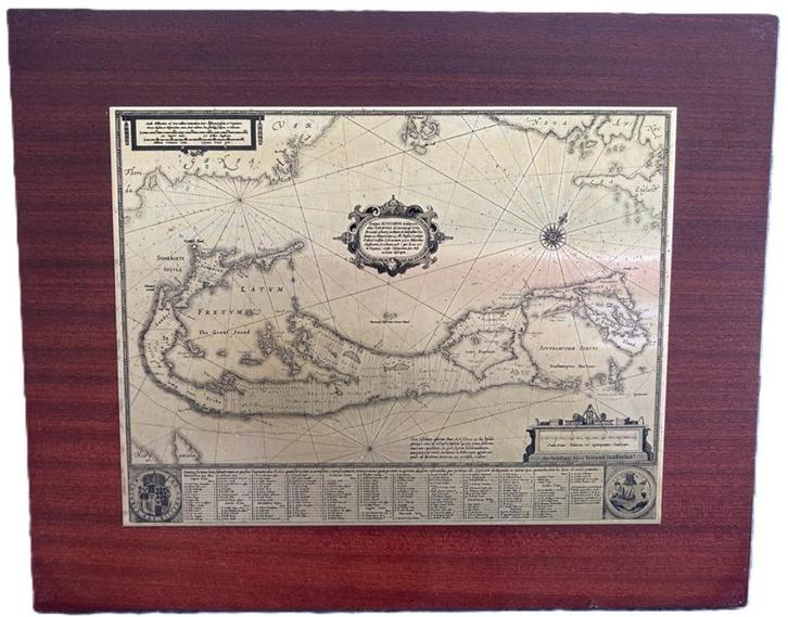 ETS VIRGINIA OP HOUT, Antiek en Kunst, Kunst | Etsen en Gravures, Ophalen of Verzenden