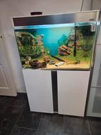 Super mooi aquarium, Dieren en Toebehoren, Vissen | Aquaria en Toebehoren, Ophalen, Zo goed als nieuw, Leeg aquarium