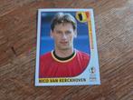 Panini WK 2002, Ophalen of Verzenden, Zo goed als nieuw, Buitenlandse clubs, Poster, Plaatje of Sticker