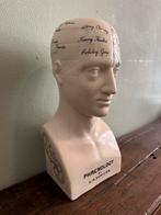 Phrenology hoofd 50cm keramiek medisch antiek, Ophalen