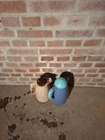 Thermoskan, Huis en Inrichting, Ophalen, Gebruikt