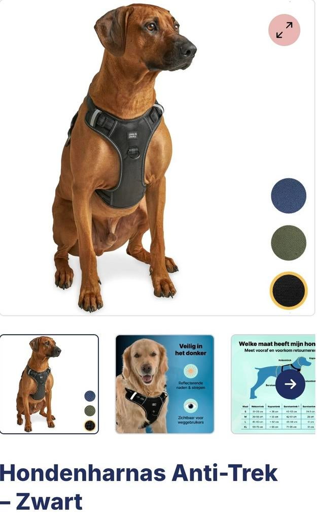 Nieuw: zwart Jake and Jacky y tuig mt M,met evt. Lijn 3 m, Dieren en Toebehoren, Ophalen of Verzenden, Nieuw