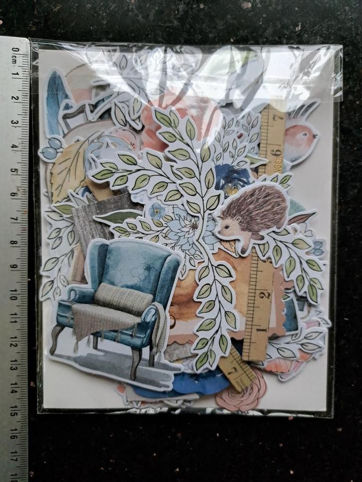 ROSIE'S STUDIO PLANNER PLAATJES JOURNALING BLAUW ROZE, Hobby en Vrije tijd, Stickers en Plaatjes, Zo goed als nieuw, Plaatje, Ophalen of Verzenden