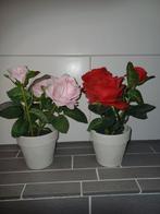 Plantjes nep, Huis en Inrichting, Woonaccessoires | Vazen, Ophalen, Overige kleuren, Minder dan 50 cm, Glas