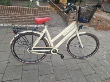 Damesfiets  BSP Bold beschikbaar voor biedingen
