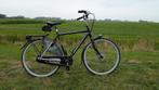 Koga Miyata Liteace, Gebruikt, Versnellingen, 53 tot 57 cm, Ophalen