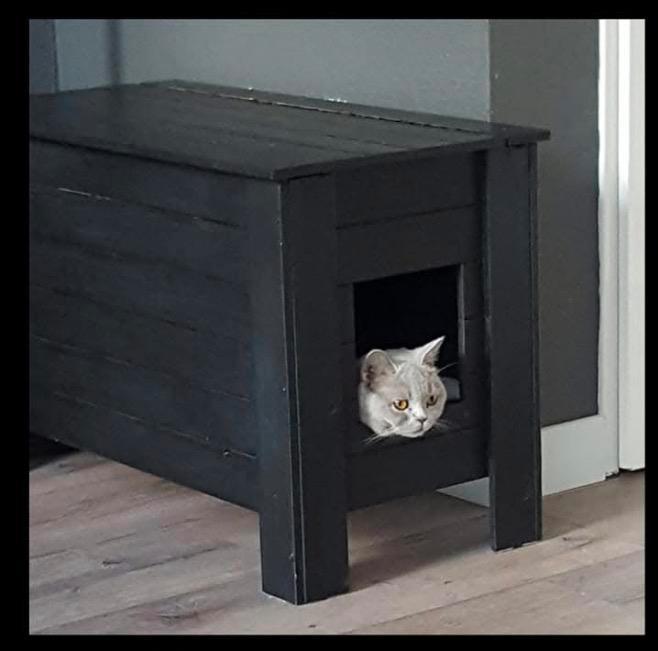 Werpkist kat, Dieren en Toebehoren, Katten-accessoires, Gebruikt, Ophalen