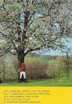 Kr126 Ongelopen ansichtkaart Limburg, Ophalen of Verzenden, 1980 tot heden, Ongelopen, Limburg