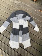 Grijs gestreept lang vest lente herfst winter dames, Ophalen of Verzenden, Zo goed als nieuw, Grijs
