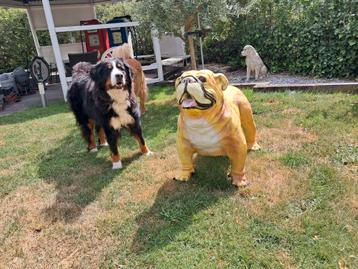Zeer Grote Polyester Bull Dog in prachtig geleefde staat. beschikbaar voor biedingen