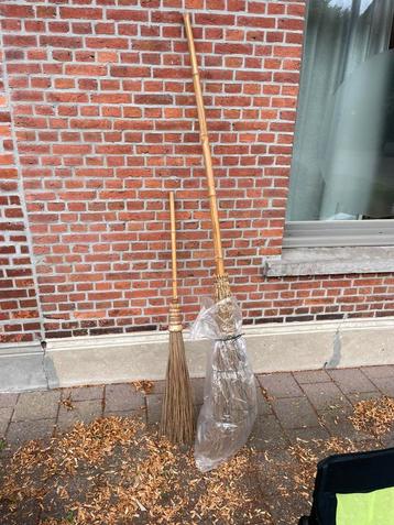 Bezems beschikbaar voor biedingen