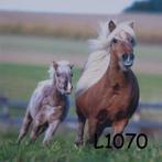 Servetten decoupage/bullet journal – paarden L1070, Verzenden, Nieuw, Materiaal