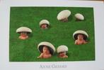 Anne Geddes - AGC060 - babies in het gras - 2006 - nieuw, Verzamelen, Ansichtkaarten | Themakaarten, Verzenden, 1980 tot heden