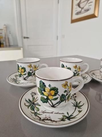 4 espressokopjes met schotels Villeroy en Boch Botanica  beschikbaar voor biedingen