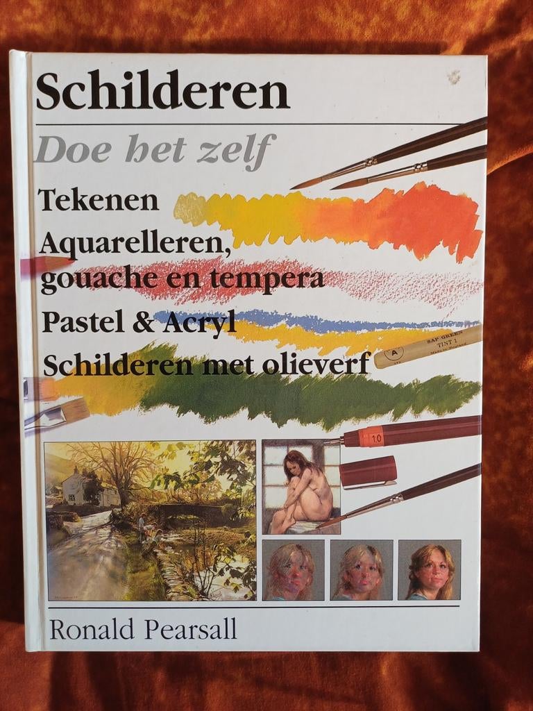 Schilderen Doe Het Zelf Boek, Hobby en Vrije tijd, Ophalen of Verzenden, Zo goed als nieuw, Overige typen
