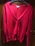 mooi vestje (M), Maat 38/40 (M), Overige kleuren, Zo goed als nieuw, Anni Rolfi