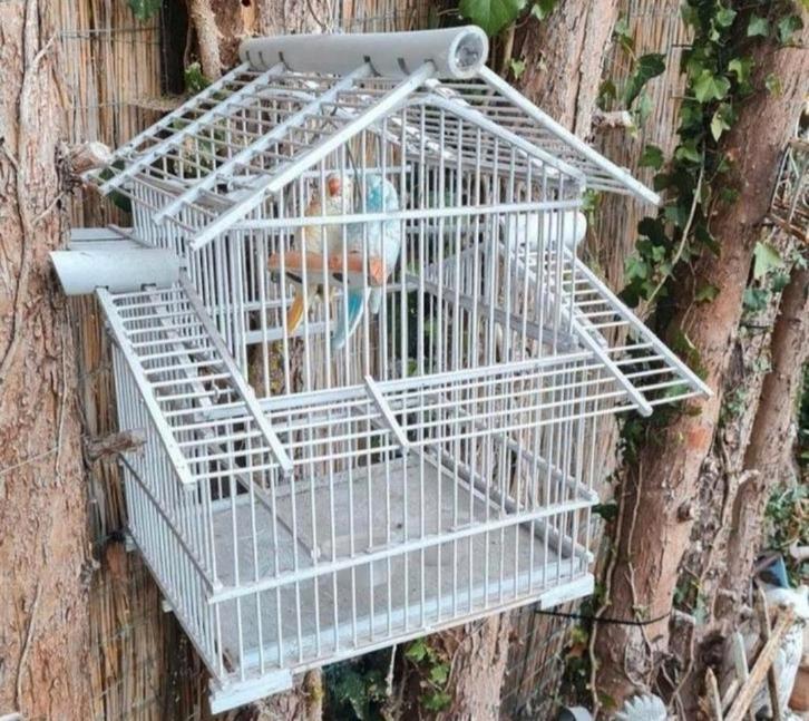 Houten vogelkooi, Antiek en Kunst, Curiosa en Brocante, Ophalen